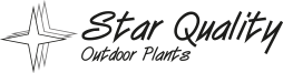 Star Quality - Outdoor Plants